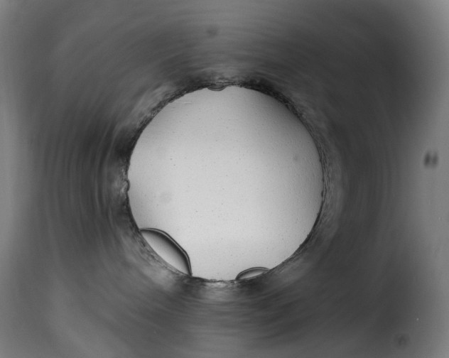 X0000115270240200911201736