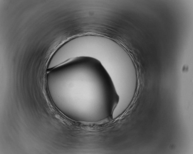 X0000115270241200911201735