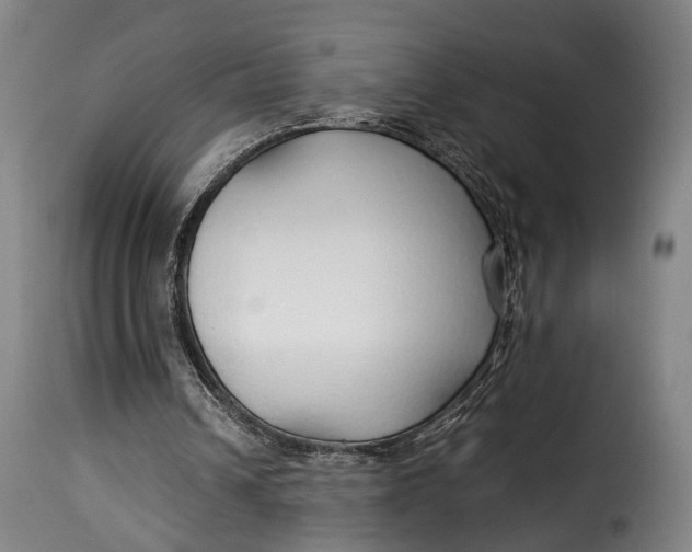 X0000115270242200911201735