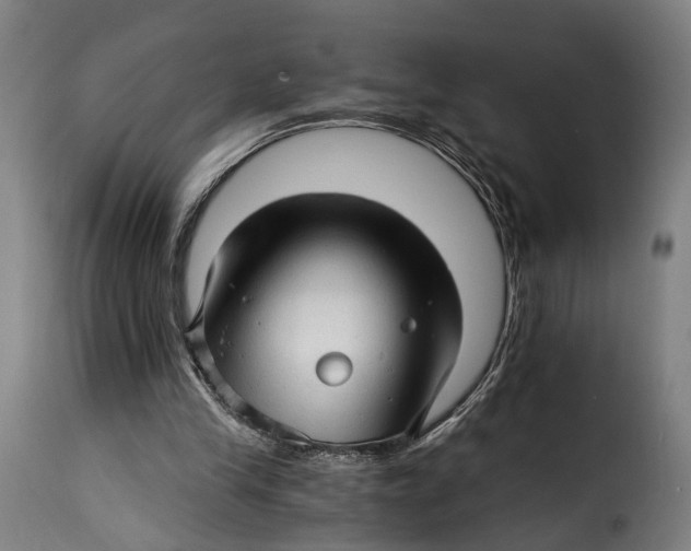 X0000115270245200911201735