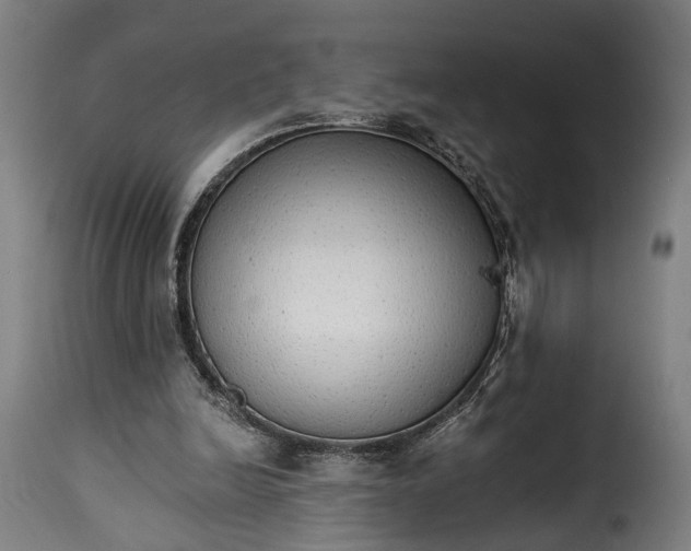 X0000115270246200911201735