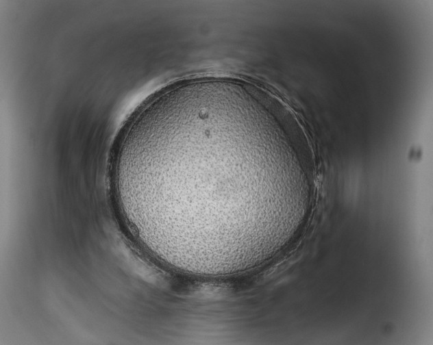 X0000115270248200911201735