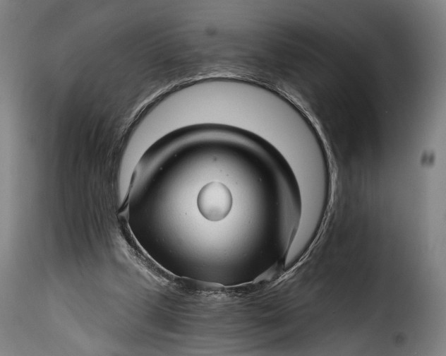 X0000115270249200911201735