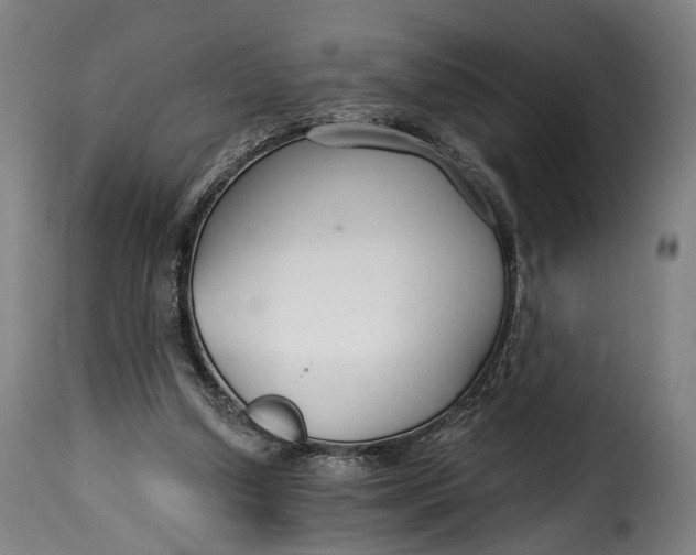 X0000115270250200911201735