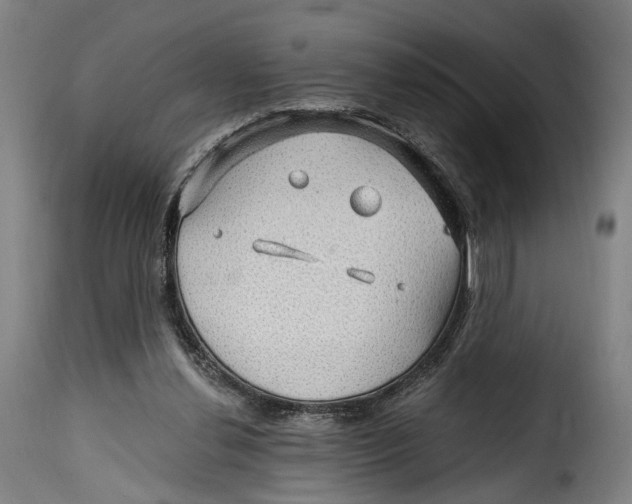 X0000115270252200911201735