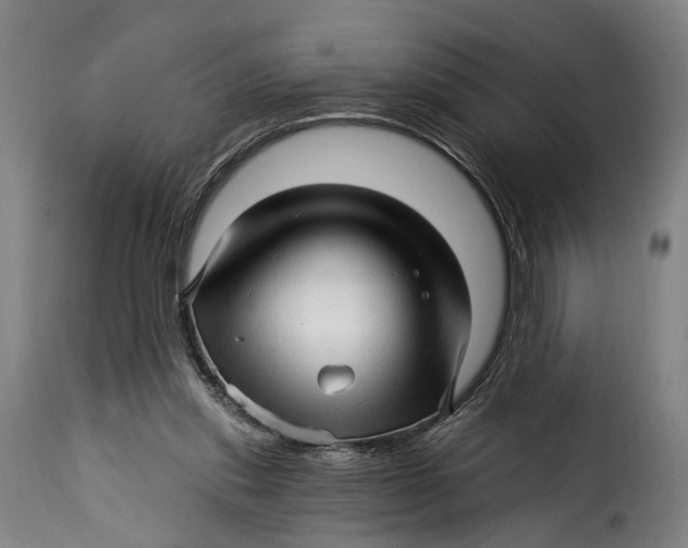 X0000115270253200911201735