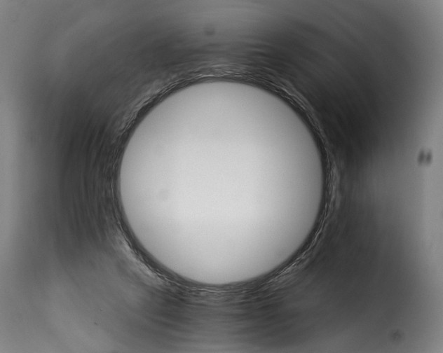 X0000115270257200911201735