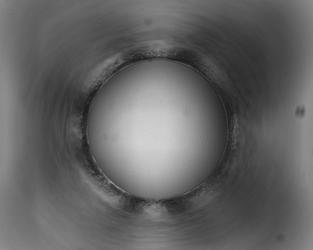 X0000115270258200911201735