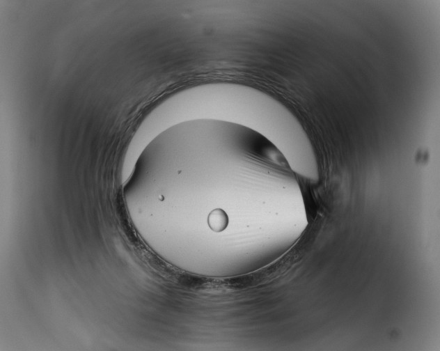 X0000115270263200911201735