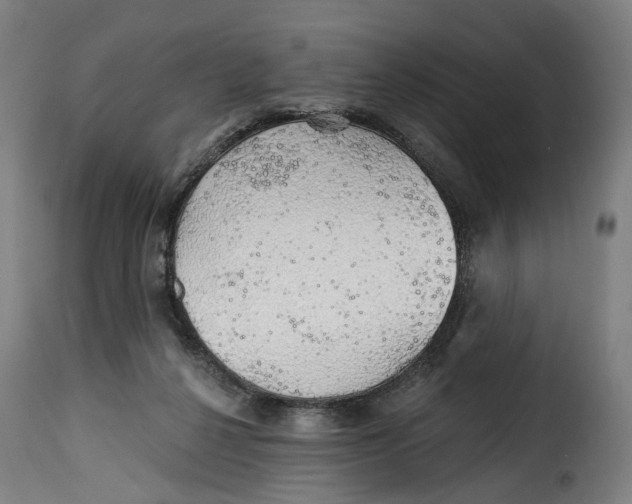 X0000115270264200911201735