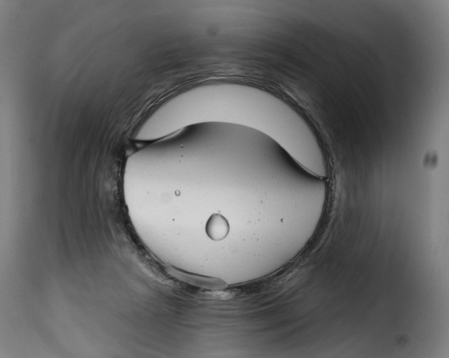 X0000115270265200911201735