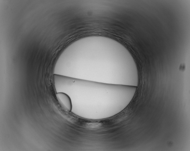 X0000115270266200911201735