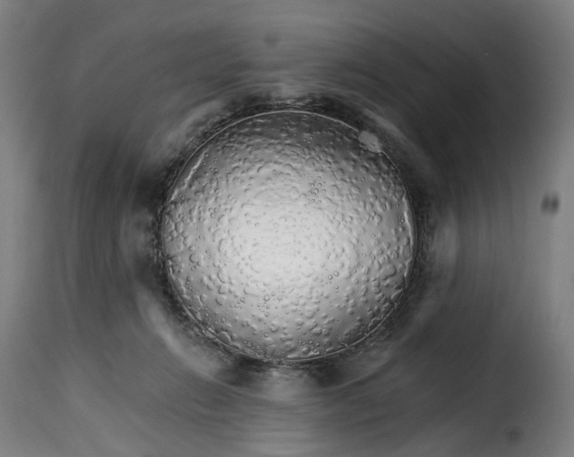 X0000115270270200911201735