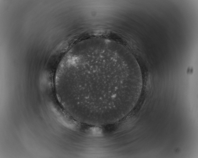 X0000115270272200911201735