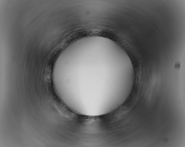 X0000115270274200911201735