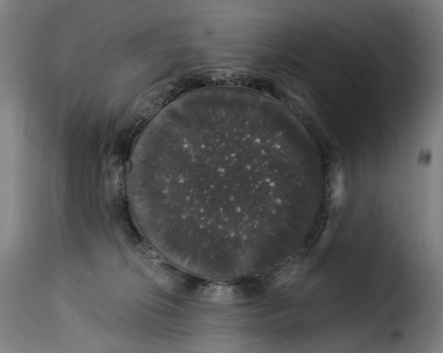 X0000115270276200911201735