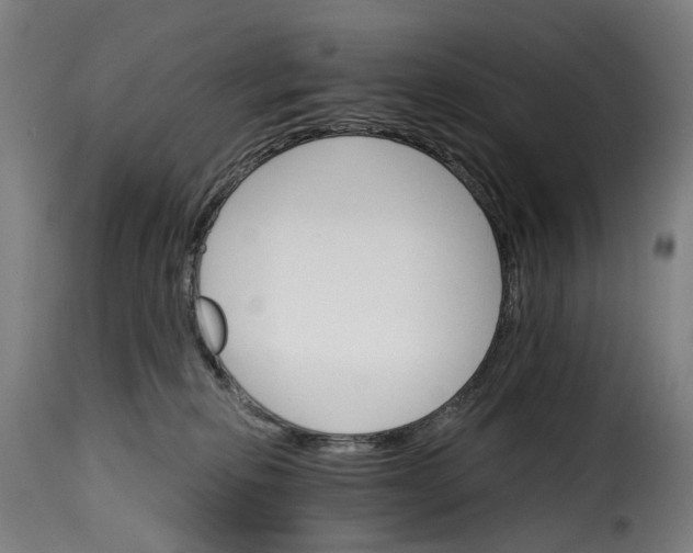 X0000115270278200911201735