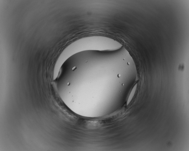 X0000115270281200911201735