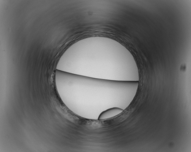 X0000115270282200911201736