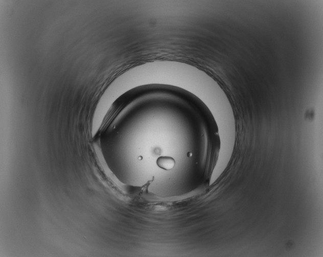 X0000115270285200911201736