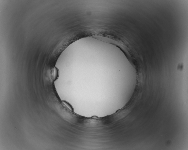 X0000115270286200911201736