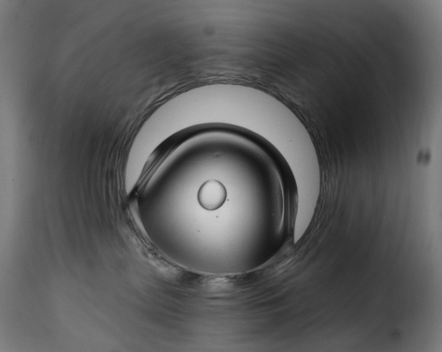 X0000115270287200911201736