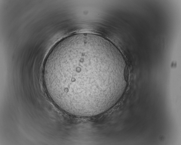 X0000115270289200911201735