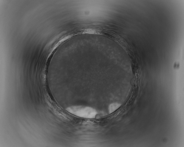 X0000115270290200911201735