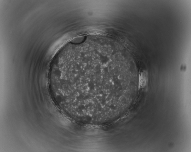 X0000115270291200911201735