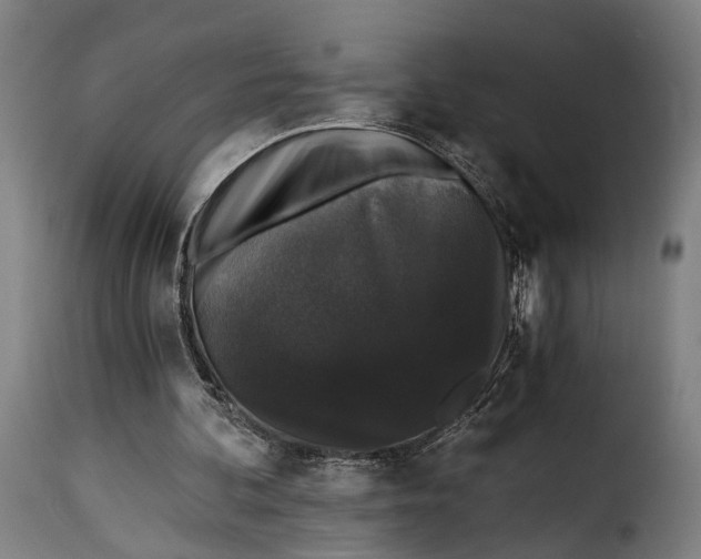 X0000115270292200911201735