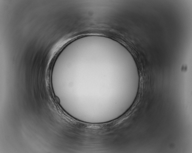 X0000115270294200911201735