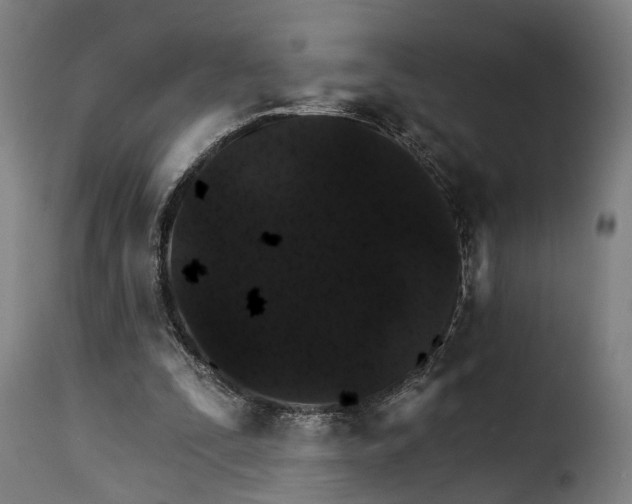 X0000115270295200911201735