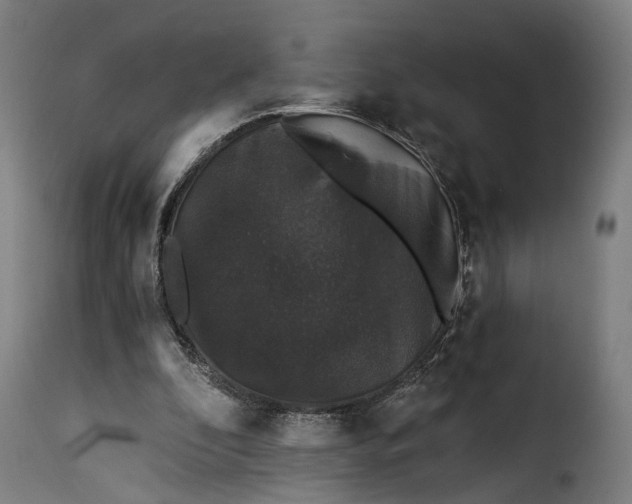 X0000115270296200911201735