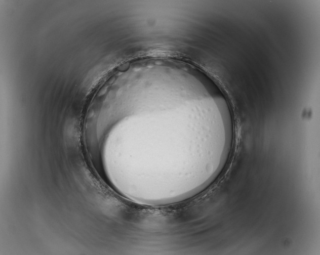 X0000115270297200911201735