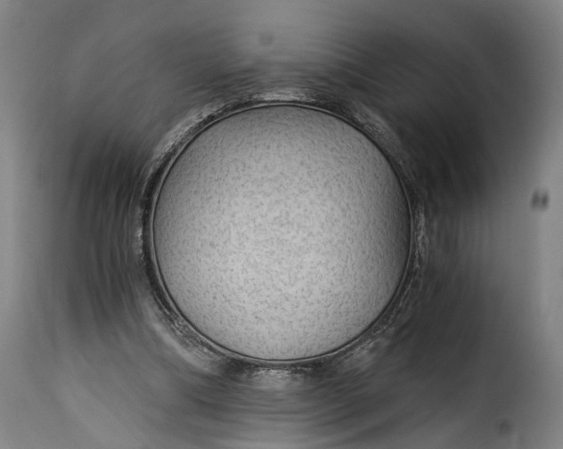 X0000115270298200911201735