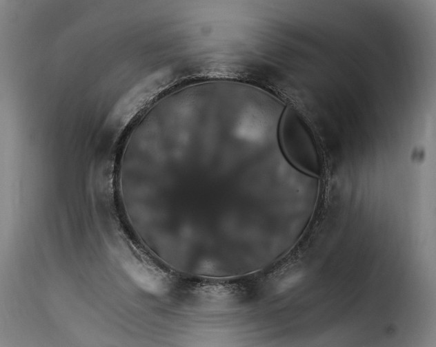 X0000115270299200911201735