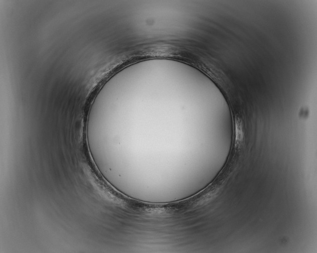 X0000115270301200911201735