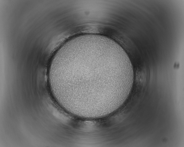 X0000115270302200911201735