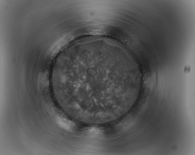 X0000115270303200911201735