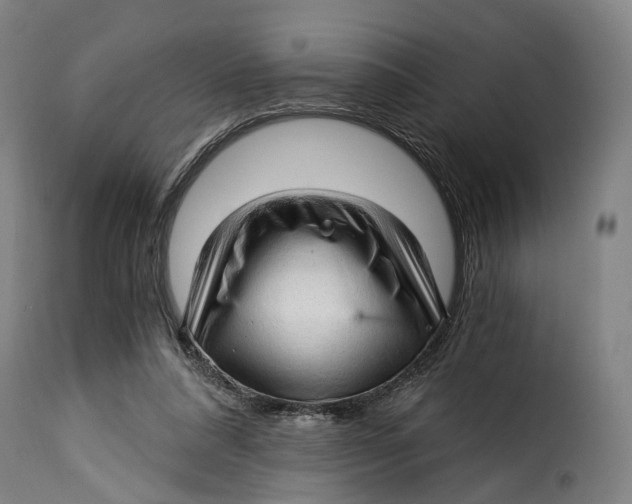 X0000115270304200911201735