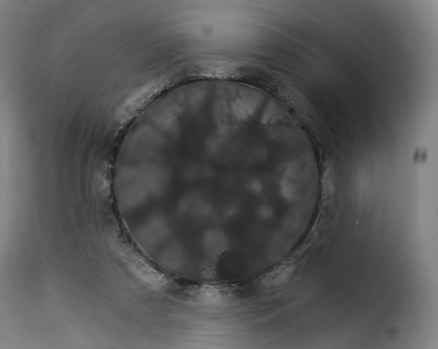 X0000115270305200911201735