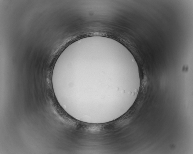 X0000115270306200911201735