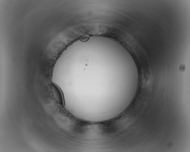 X0000115270307200911201735