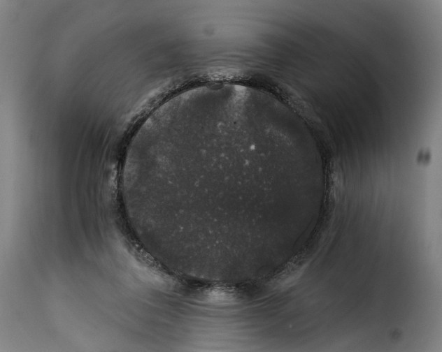 X0000115270308200911201734