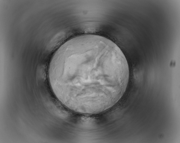 X0000115270311200911201734