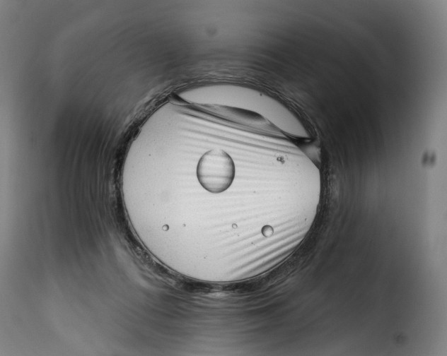 X0000115270312200911201734