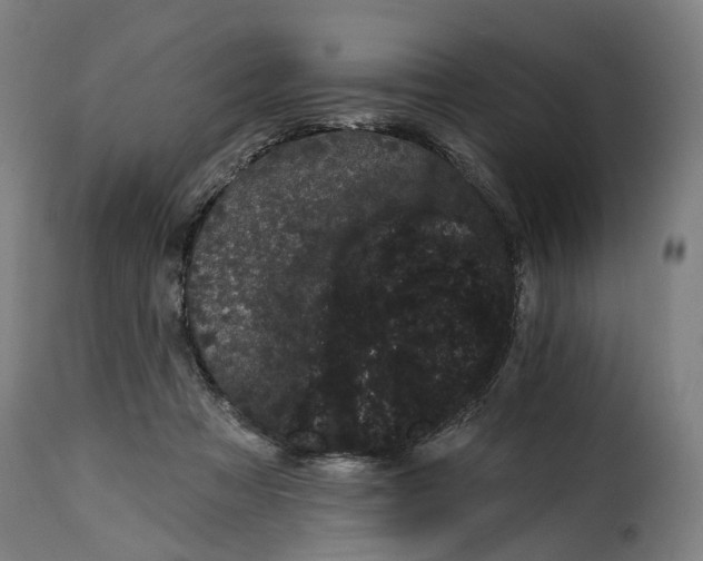 X0000115270313200911201734