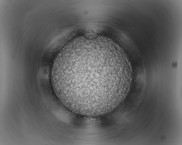 X0000115270315200911201734