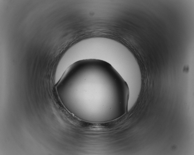 X0000115270316200911201734