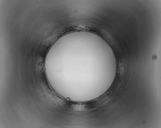 X0000115270318200911201734